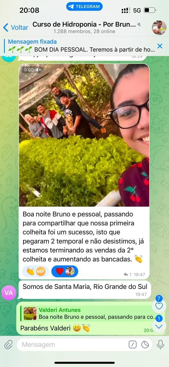 Curso de hidroponia cultive na agua Bruno Palma