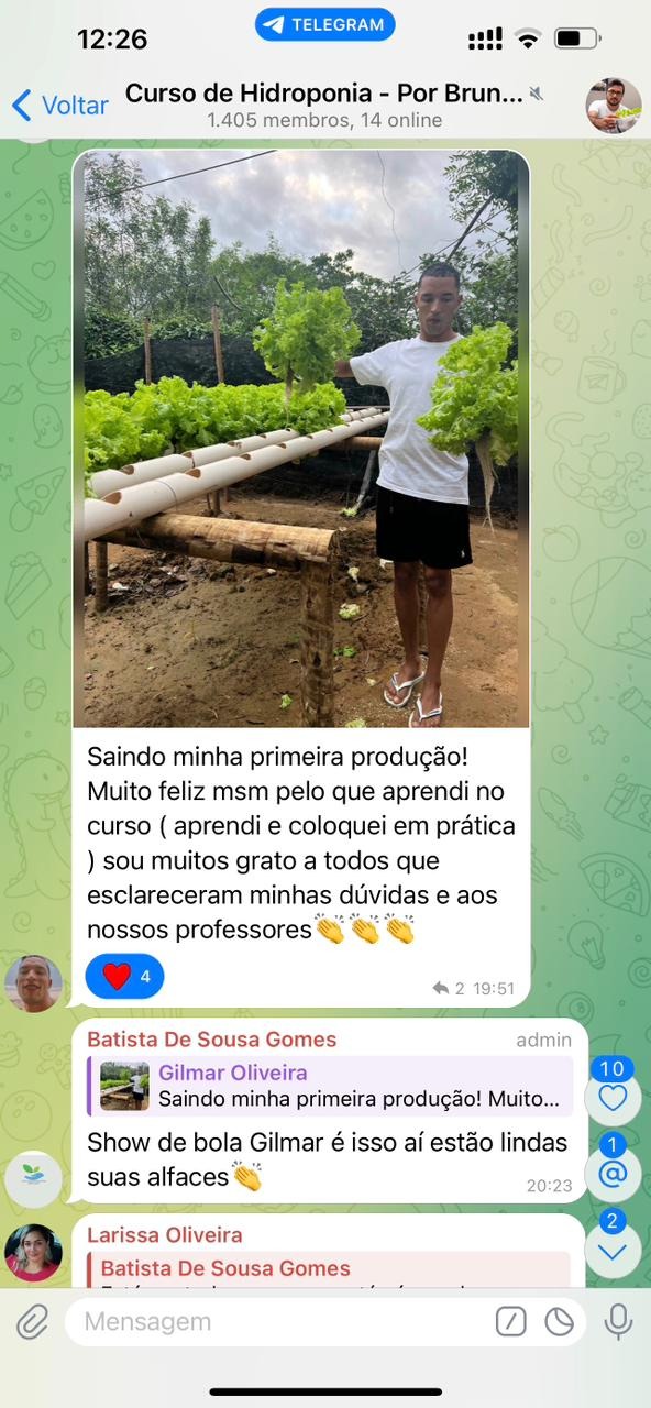 Curso de hidroponia cultive na agua Bruno Palma