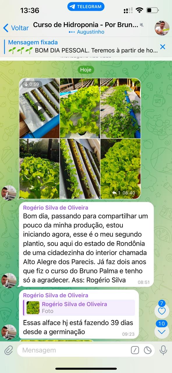 Curso de hidroponia cultive na agua Bruno Palma
