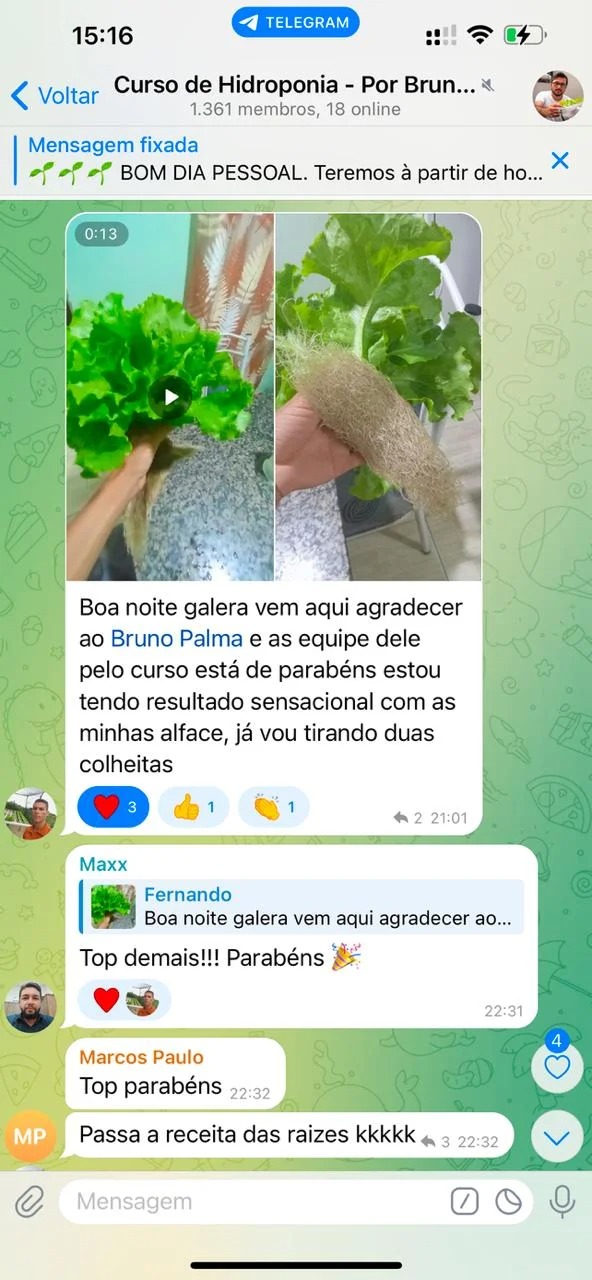 Curso de hidroponia cultive na agua Bruno Palma