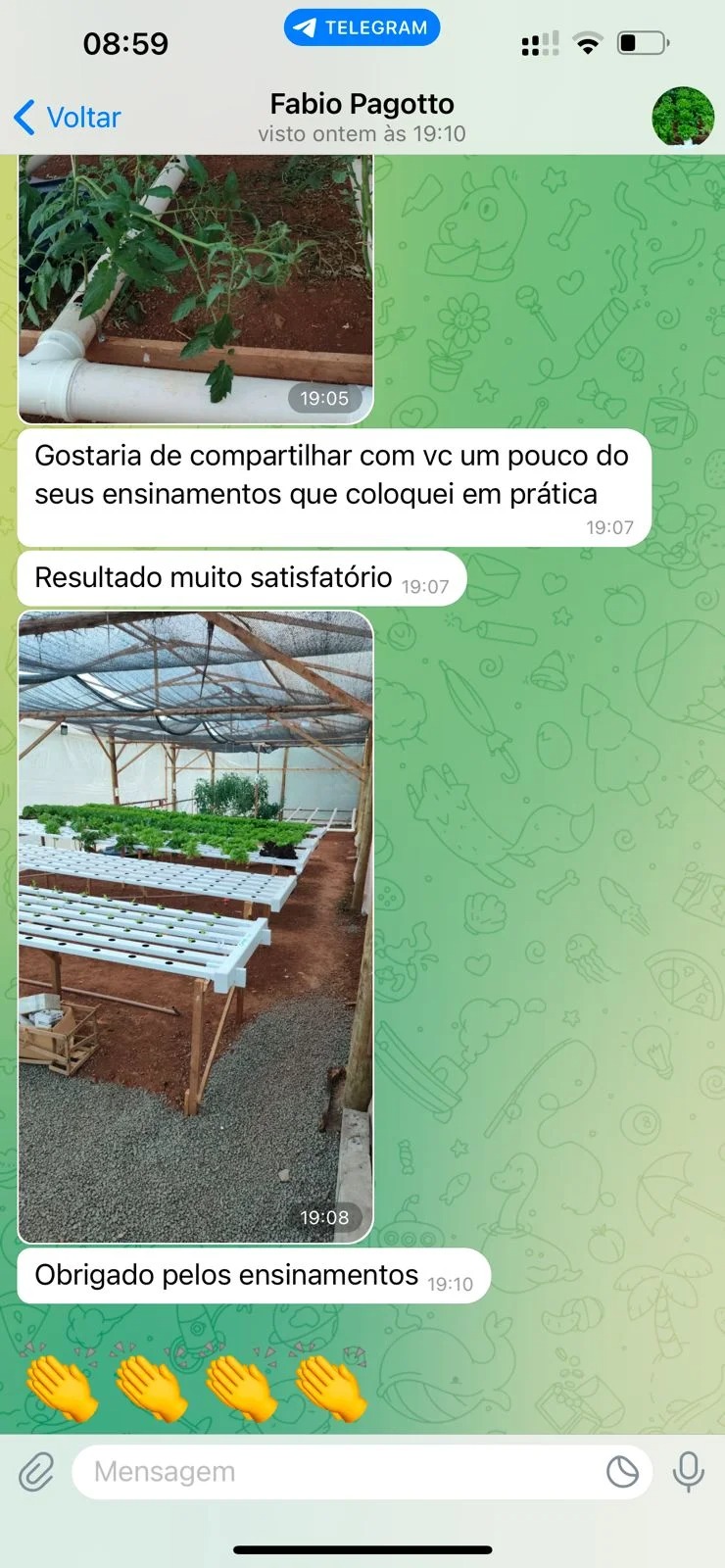 Curso de hidroponia cultive na agua Bruno Palma