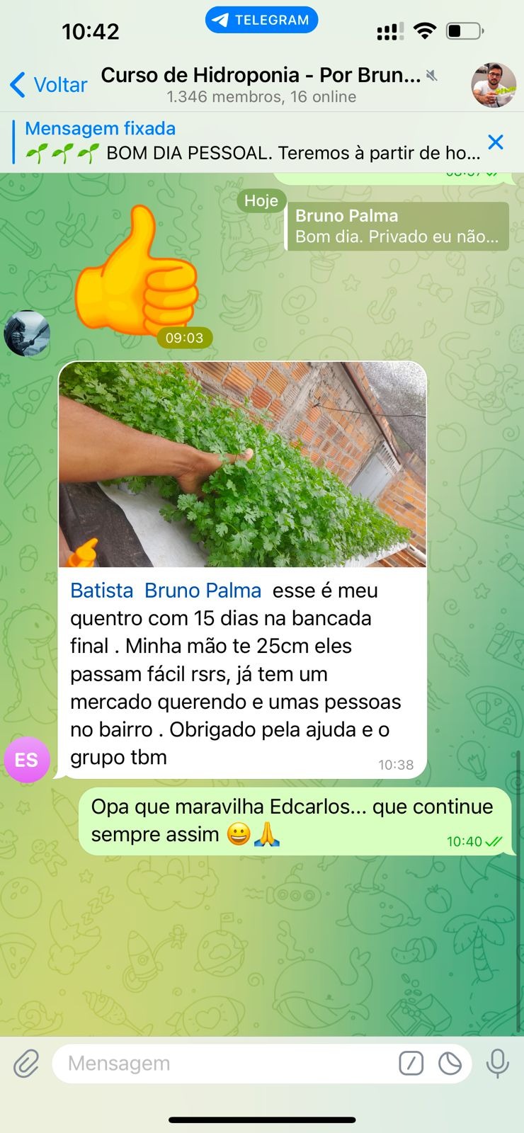 Curso de hidroponia cultive na agua Bruno Palma