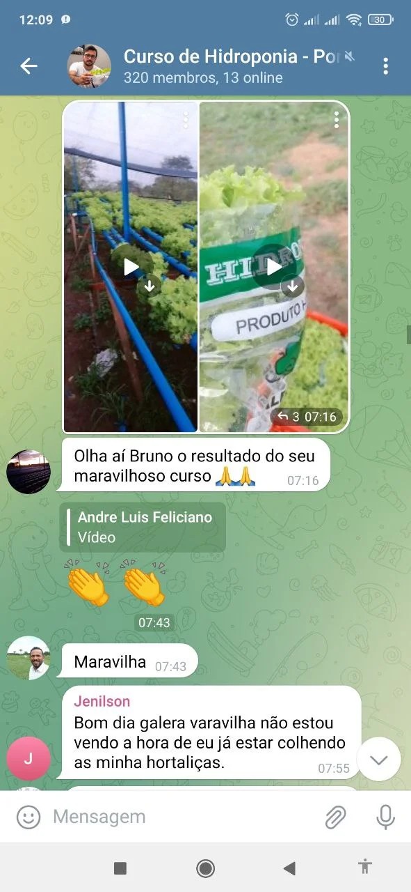 Curso de hidroponia cultive na agua Bruno Palma