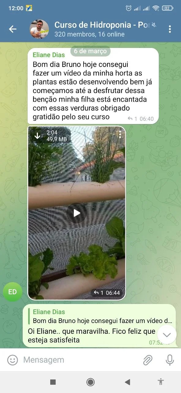 Curso de hidroponia cultive na agua Bruno Palma