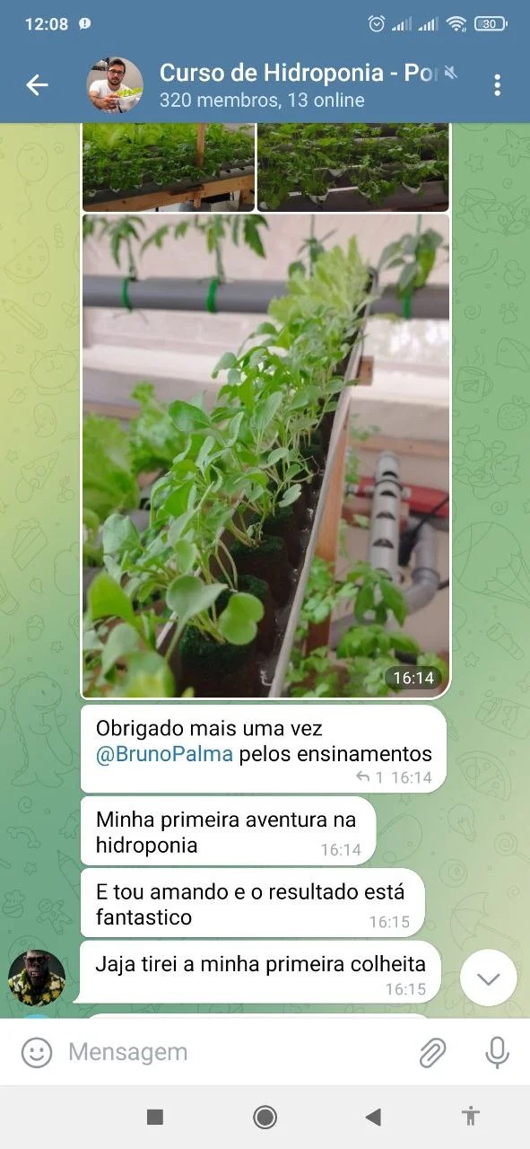 Curso de hidroponia cultive na agua Bruno Palma