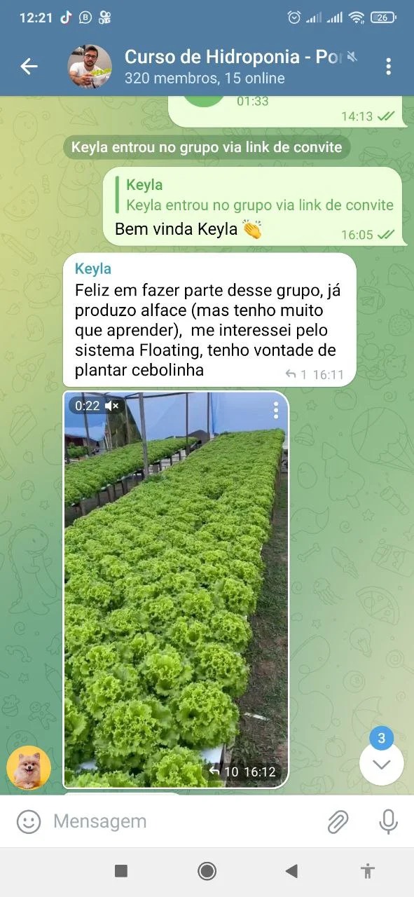Curso de hidroponia cultive na agua Bruno Palma